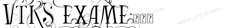 VTKS EXAME字体转换